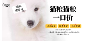 宠物店猫粮狗粮促销活动海报