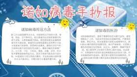 简约彩色线条诺如病毒手抄报