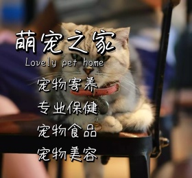 萌宠之家封面朋友圈