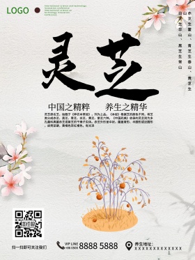 养生补品海报设计灵芝海报设计