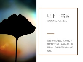 时尚高清大海森林航拍旅行公众号配图