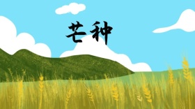 芒种手绘收获公众号封面模板