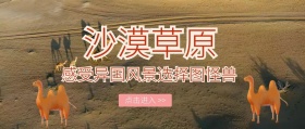 沙漠草原封面图宣传促销	