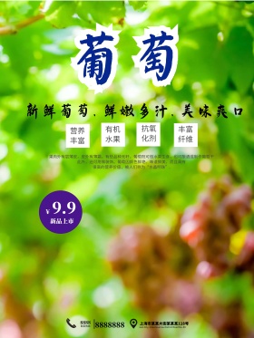 简约风美味葡萄促销海报