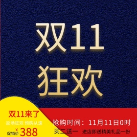 双十一双11淘宝天猫主图直通车促销