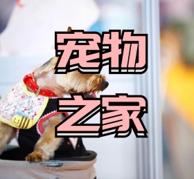 萌宠宠物可爱动物朋友圈封面
