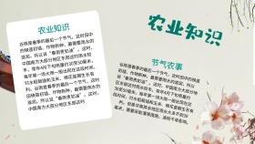 绿色清新谷雨之农业知识手抄报