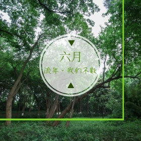 六月情感通用摄影绿色公众号配图