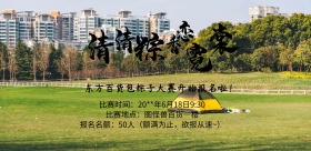 端午节包粽子粽子大赛活动宣传推广