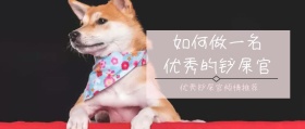 优秀铲屎官文章推荐
