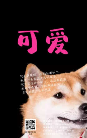 宠物猫咪卡通扁平可爱宠物之家海报