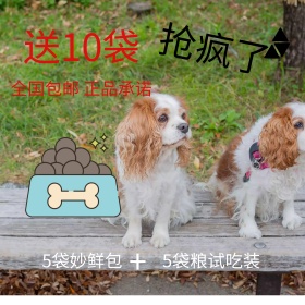 淘宝宠物狗粮主图