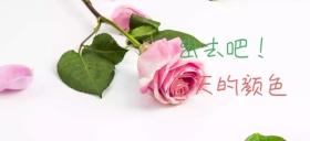 春天游玩色彩自行车公众号特殊首图在哪