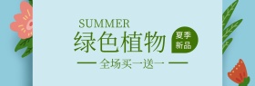 绿色植物花束夏季上新banner图片