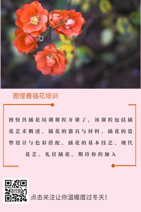 插花培训简约创意公众号配图