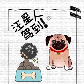 电商淘宝天猫月光节狗粮主图钻展直通车狗狗可爱模板