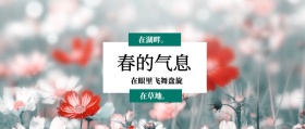 春的气息 在草地。 在湖畔。 在眼里飞舞盘旋 春季春天你好公众号封面
