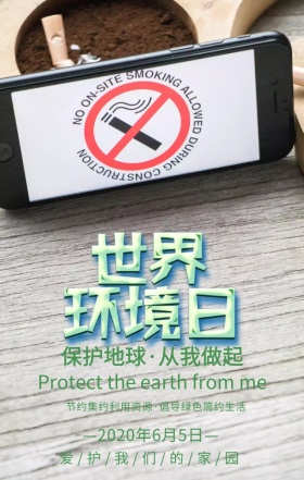 世界环境日保护地球绿色扁平化手机海报