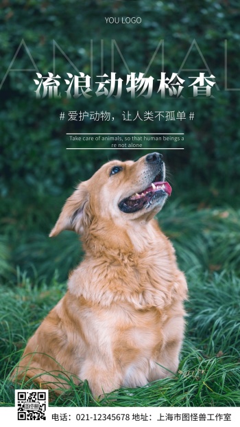流浪动物检查多份关爱白色简约风摄影图海报