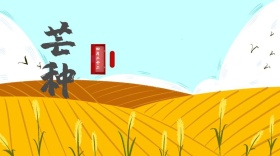 浓情夏日青青麦穗夏季芒种公众号封面