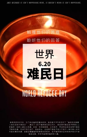 世界难民日科普宣传简约摄影海报