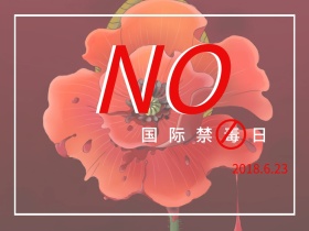 国际禁毒日公众号配图