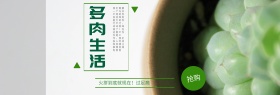 白色窗帘背景多肉生活促销抢购海报淘宝banner