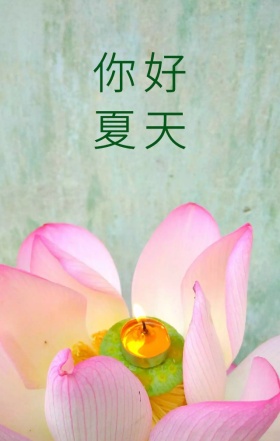 你好夏天立夏清醒简约手机海报