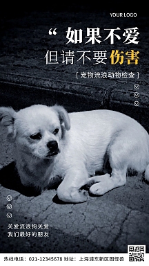 宠物流浪动物检查公益宣传摄影图海报