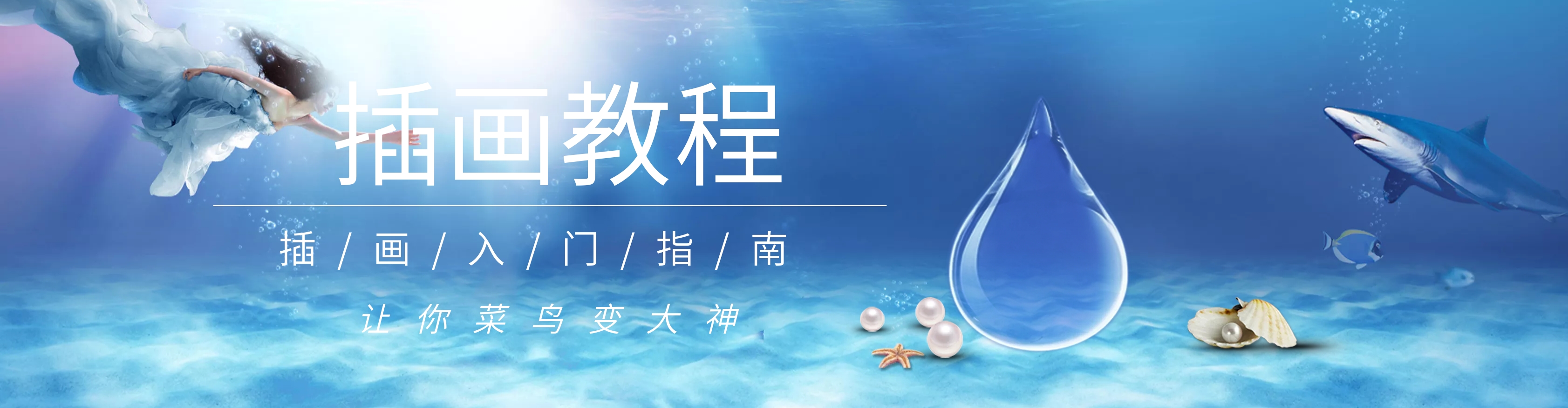 贝壳
