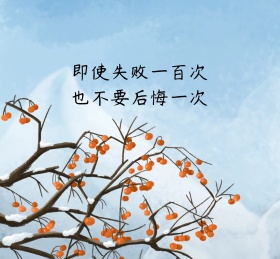 不后悔灰色简约日签