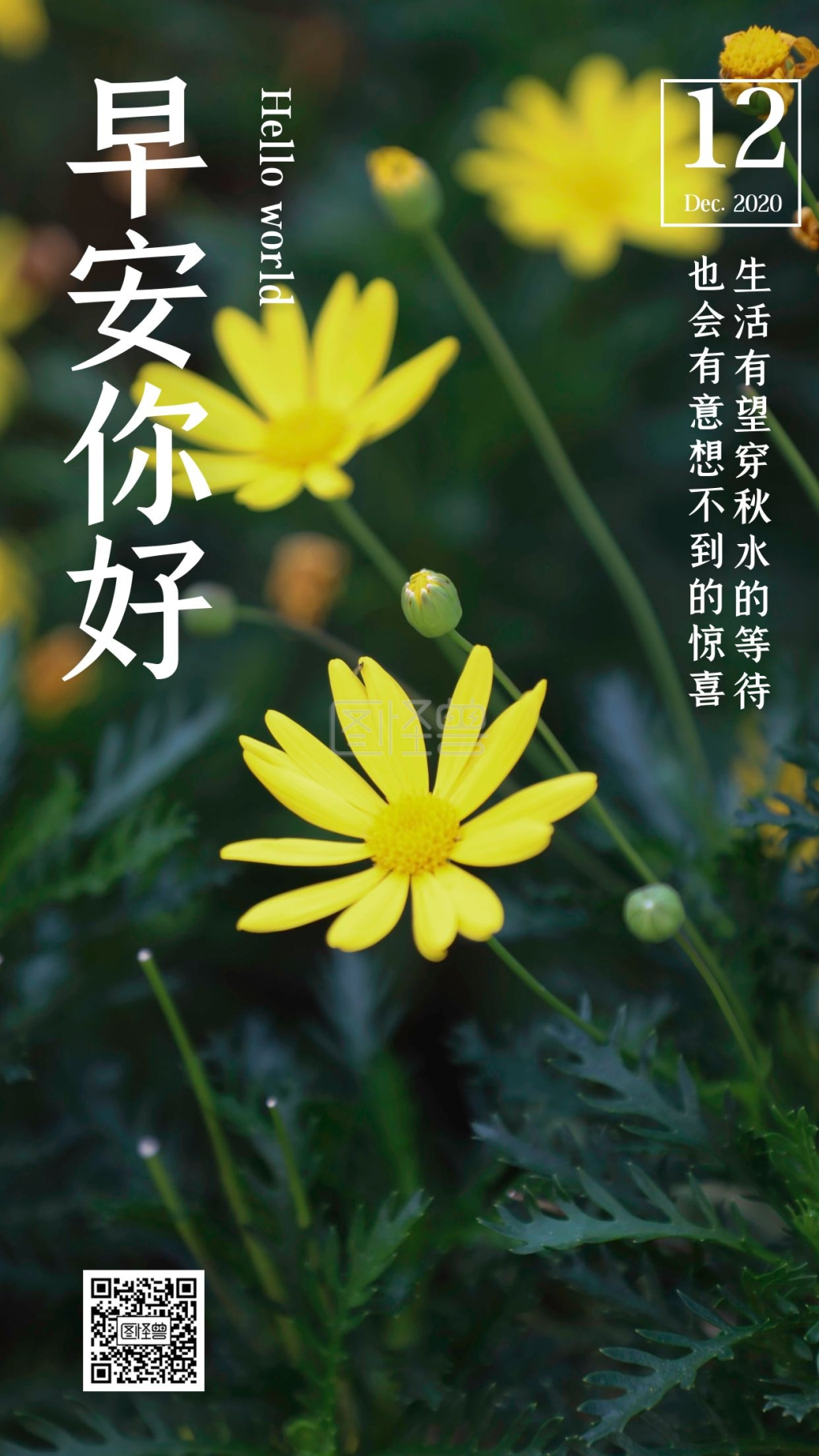 简约风摄影图早安你好生活鸡汤日签