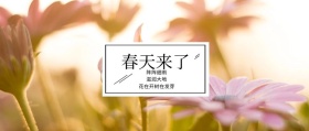 春天来了 阵阵细雨 滋润大地 花在开树在发芽 春季春天你好公众号封面