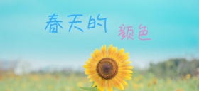 春天的颜色美丽花海公众号特殊首图