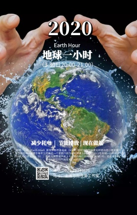 简约地球一小时海报