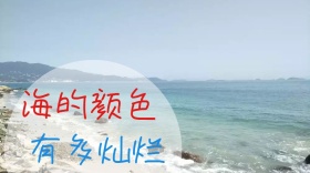 沙滩游玩海上美景飞翔的海鸥公众号封面