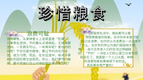 珍惜粮食小报手抄报