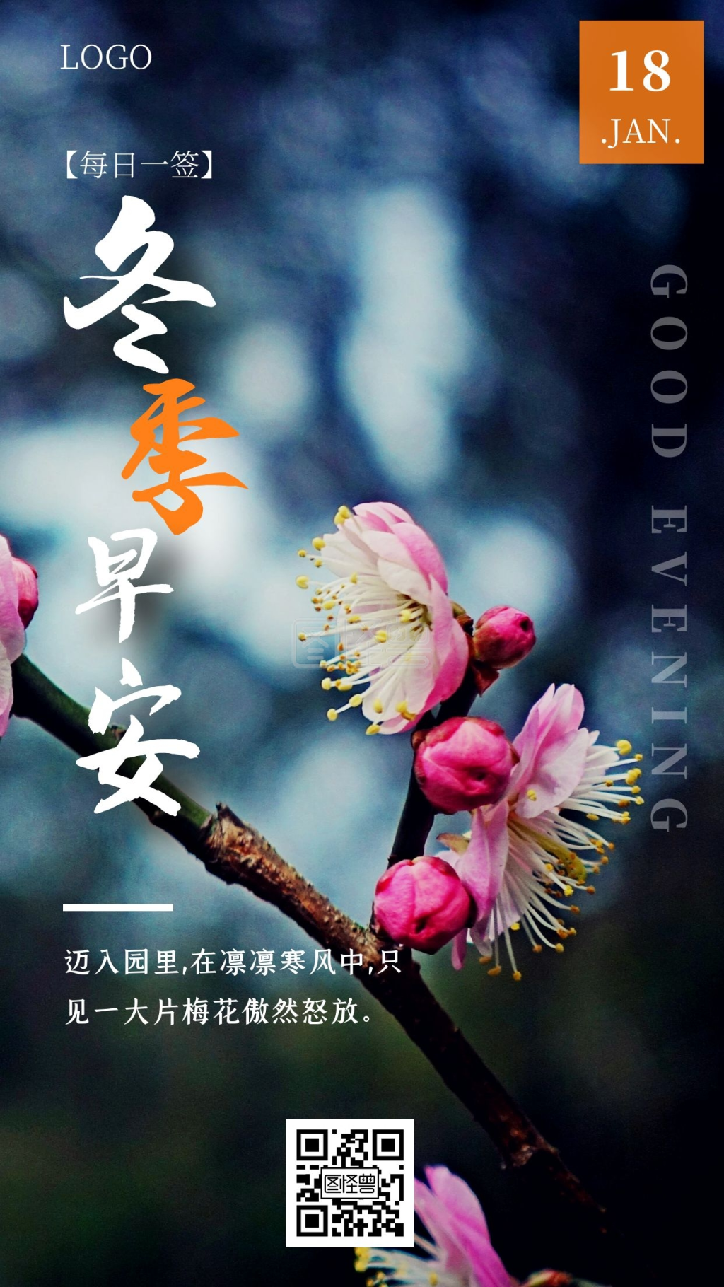 冬季问候早安梅花摄影简约日签