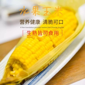 玉米五谷杂粮粗粮水果主图 主图 玉米水果