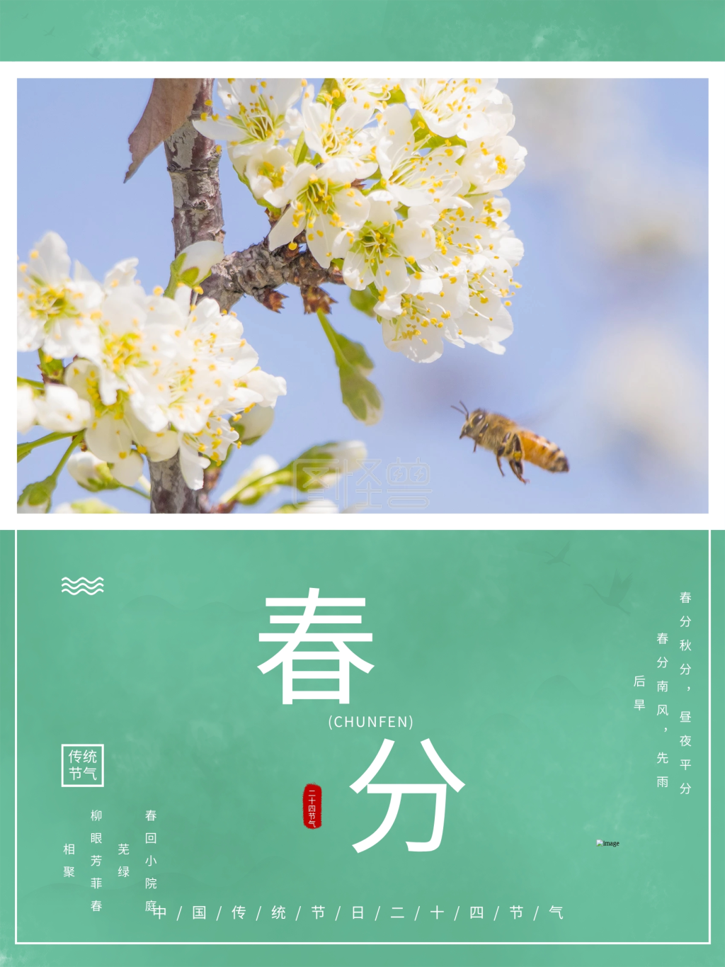 二十四节气春分简约节气海报