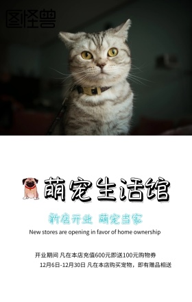 宠物店手机海报
