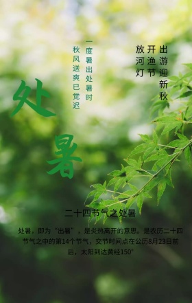 处暑传统二十四节气绿色清新手机海报
