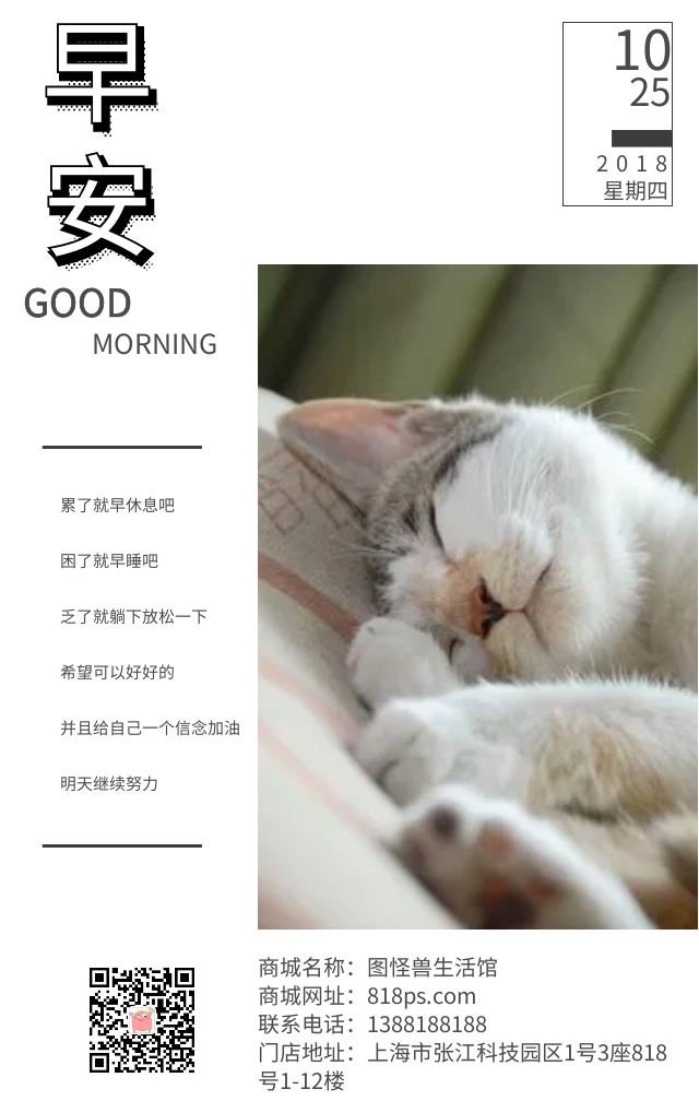 萌猫咪