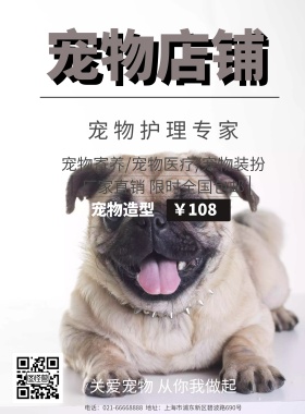宠物海报