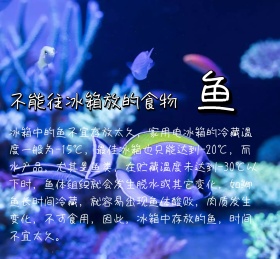 不能往冰箱放的食物