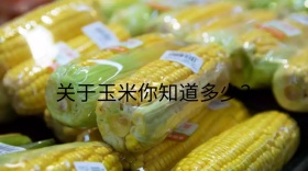 关于玉米你知道多少公众号封面