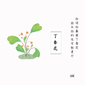 丁香花简约白色方形配图