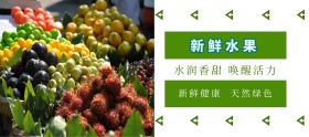 水果品质狂欢节绿色简约淘宝banner