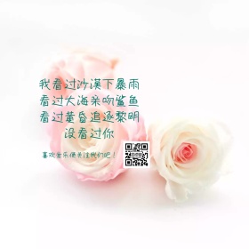 唯美温柔风公众号配图