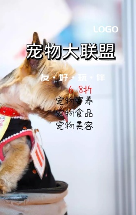  萌宠当家宠物店营销海报